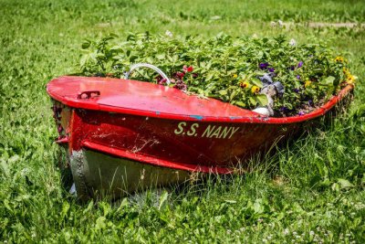 Garden in boat